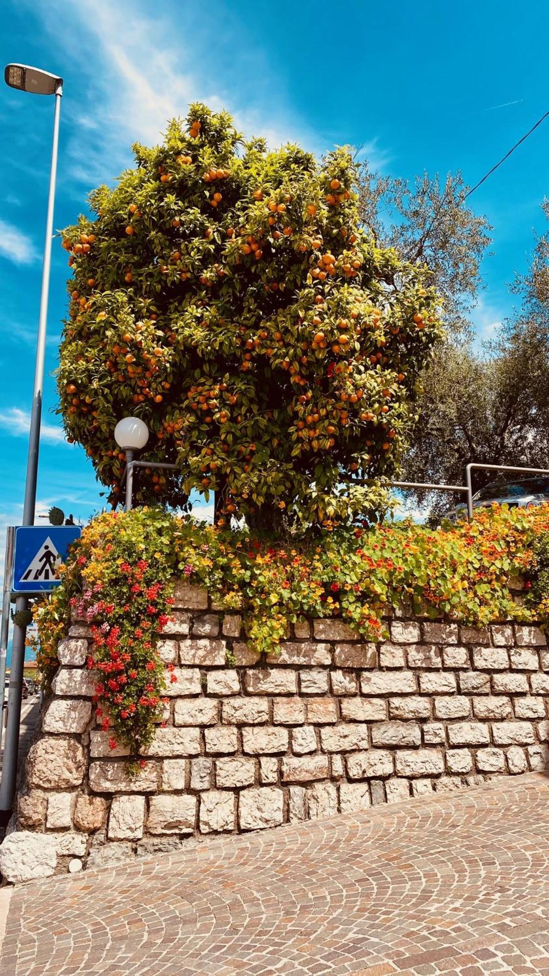 Hotel Ideal Malcesine Kültér fotó